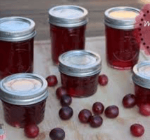 Best Tips and Tricks for Making the Perfect Plum Jelly